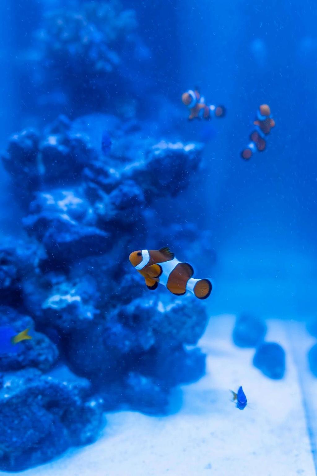 Japavista Aqua Villa Osaka Bagian luar foto