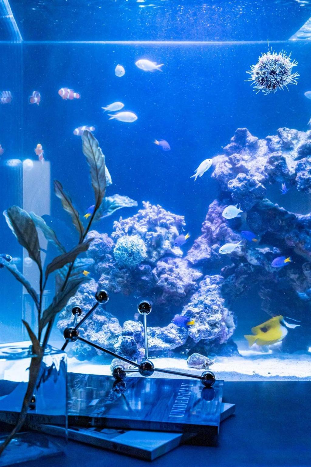 Japavista Aqua Villa Osaka Bagian luar foto